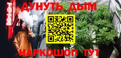 дживик Можга