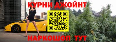 дживик Можга