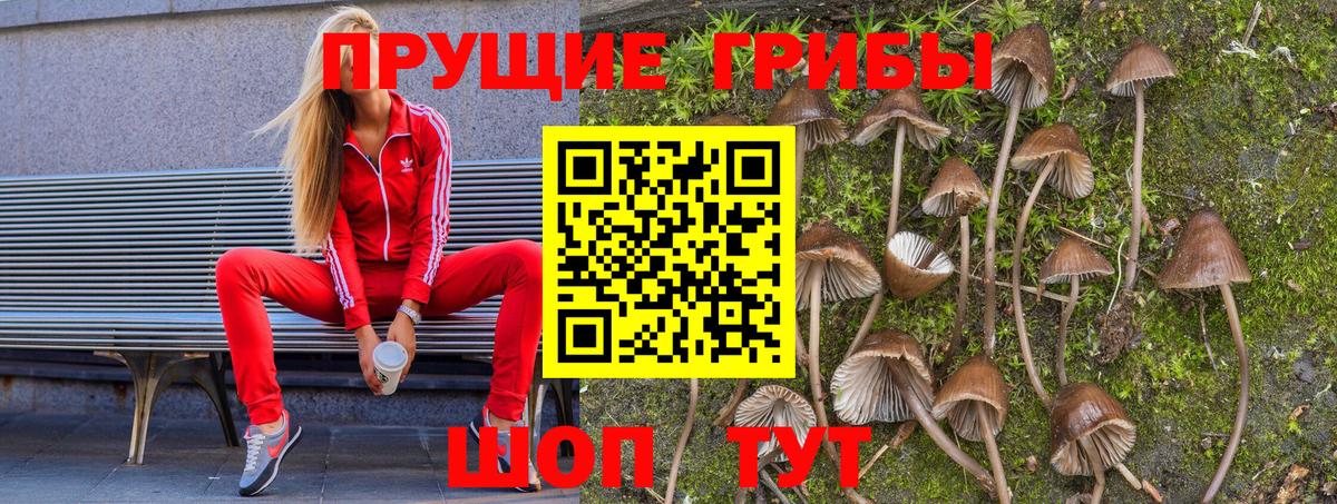 Галлюциногенные грибы прущие грибы Химки